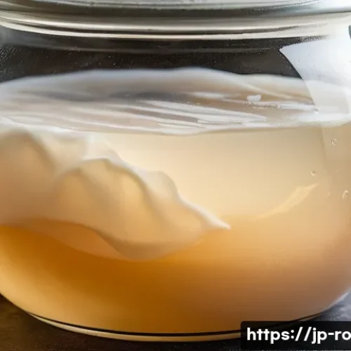 콤부차 가죽의 품질 평가 기준 - A close-up view of a healthy kombucha SCOBY with a creamy to light brown color, showing a thick and ...