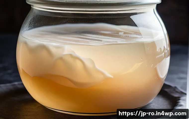 콤부차 가죽의 품질 평가 기준 - A close-up view of a healthy kombucha SCOBY with a creamy to light brown color, showing a thick and ...